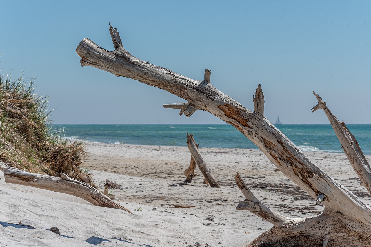 coast-7366616_1280 Mojacar Beach, close to La Alfoquia
